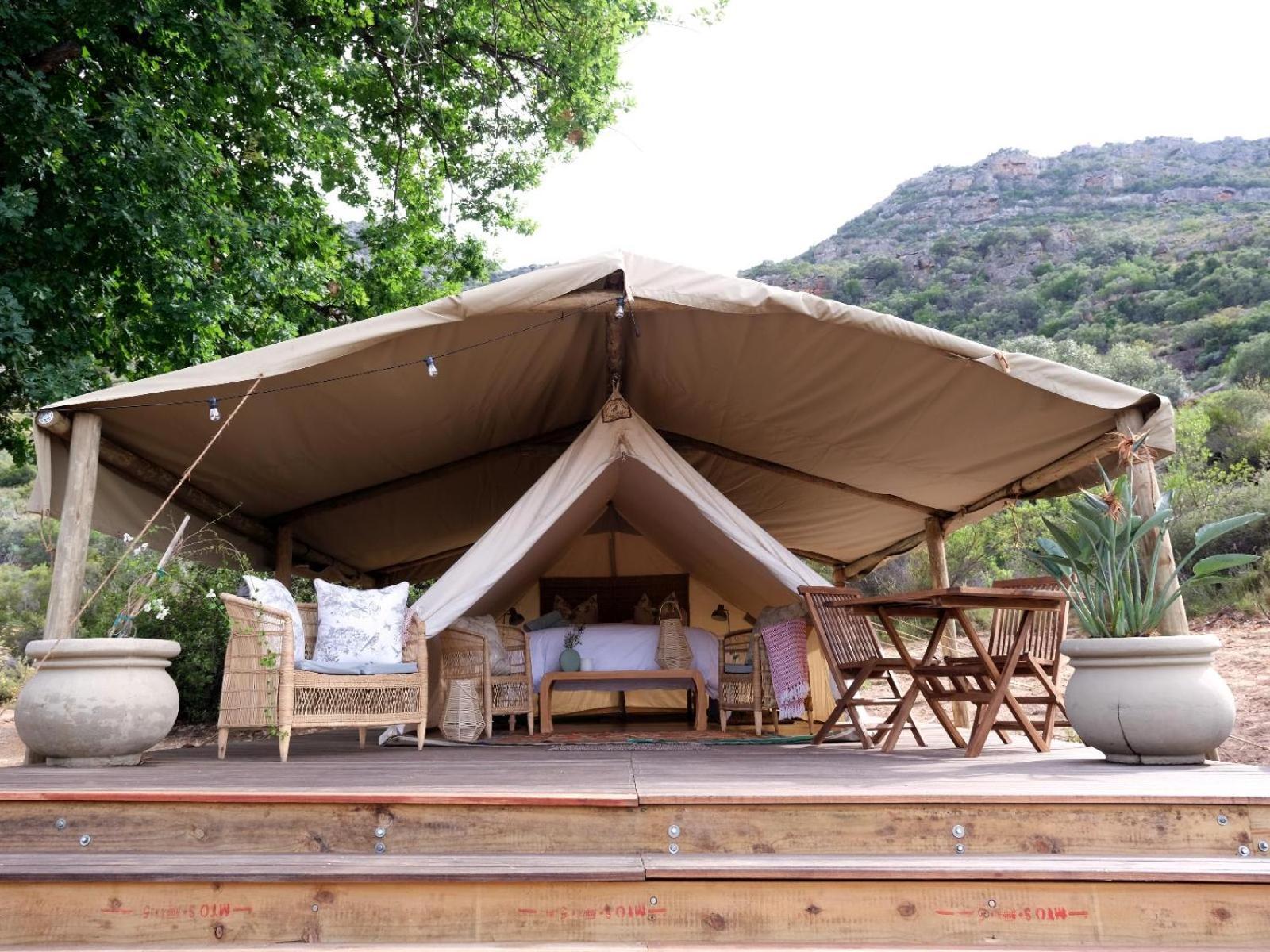 Leopard Valley Eco Retreat Citrusdal Room photo