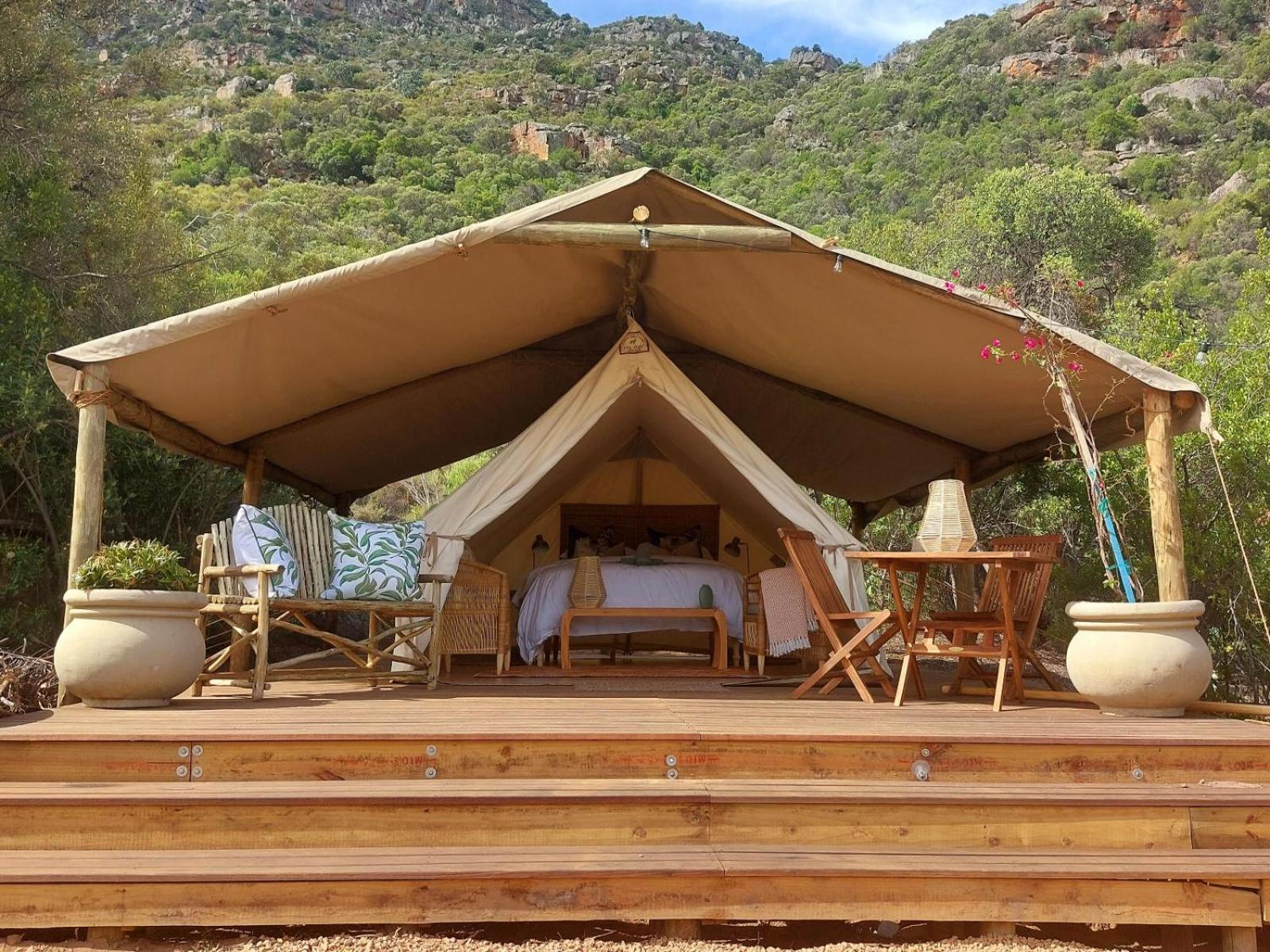Leopard Valley Eco Retreat Citrusdal Room photo